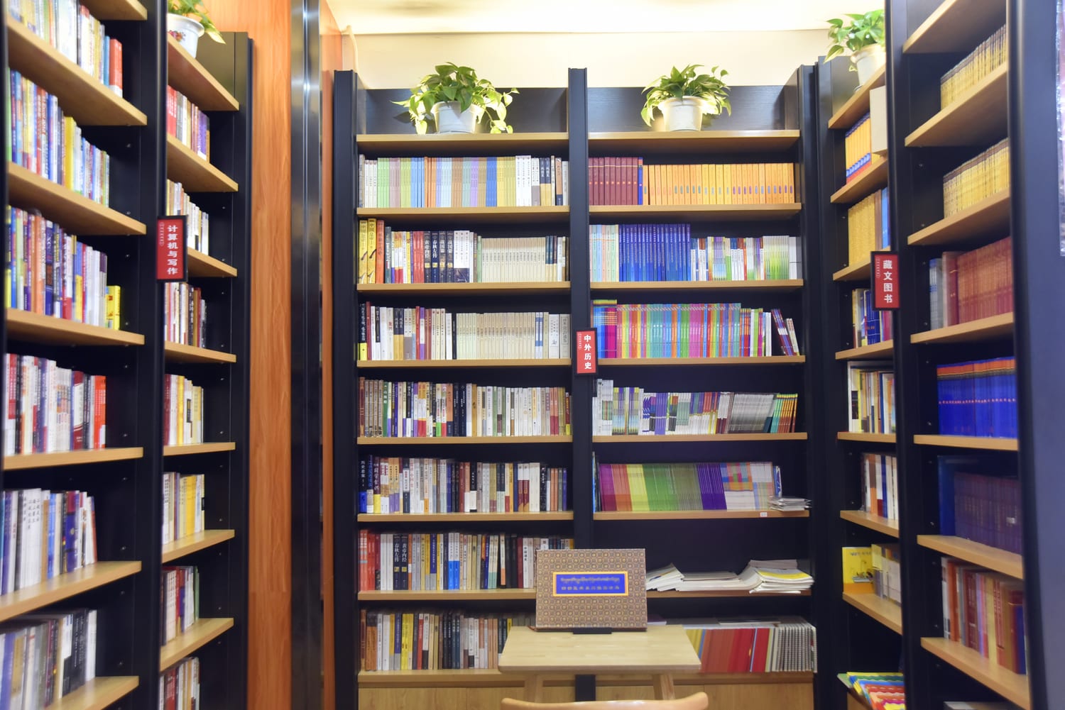 书城藏文展区