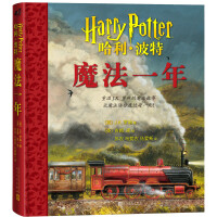 哈利波特：魔法一年